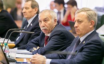 А. Саллагаров на заседании Комитета Совета Федерации по бюджету и финансовым рынкам