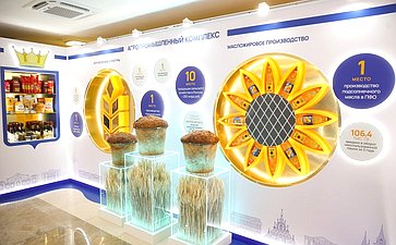 Валентина Матвиенко и Роман Бусаргин осмотрели выставку, посвященную действующим и перспективным проектам развития Саратовской области