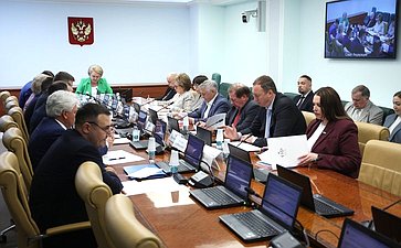 Заседание Комитета Совета Федерации по науке, образованию и культуре