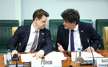 Круглый стол Комитета Совета Федерации по федеративному устройству, региональной политике, МСУ и делам Севера на тему «Актуальные проблемы развития сегмента строительства малоэтажных жилых комплексов»