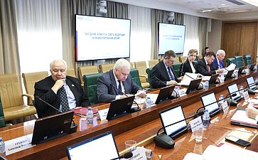 Заседание Комитета Совета Федерации по международным делам