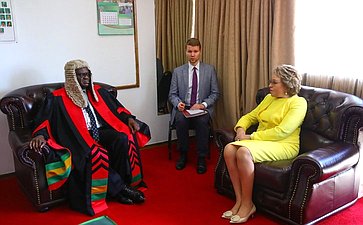 Встреча Председателя СФ Валентины Матвиенко с Председателем Национальной ассамблеи Республики Замбия Патриком Матибини