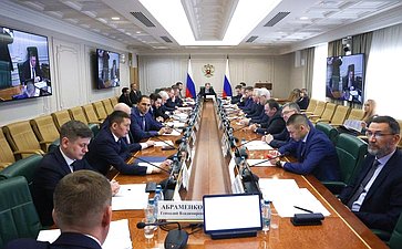 Заседание Комитета Совета Федерации по экономической политике