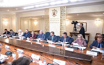Заседание Временной комиссии Совета Федерации по защите государственного суверенитета и предотвращению вмешательства во внутренние дела РФ