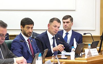 Встреча сенаторов Российской Федерации с Министром экономического развития РФ Максимом Решетниковым в формате «Открытого диалога»