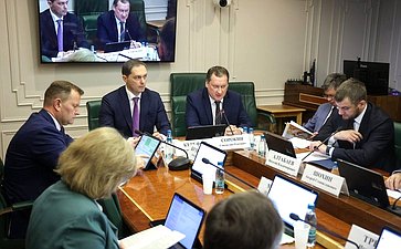 Заседание Комитета Совета Федерации по экономической политике