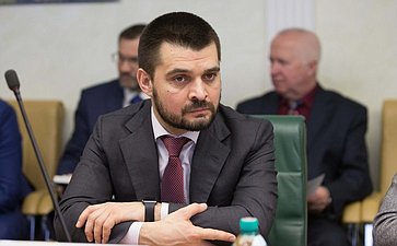 С. Мамедов на заседании Комитета общественной поддержки жителей Юго-Востока Украины