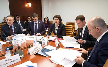 Совместное заседание совета Палаты молодых законодателей и подгруппы по зак.обеспечению молодежной политики Госсовета РФ