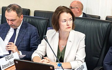 Заседание Комитета Совета Федерации по федеративному устройству, региональной политике, местному самоуправлению и делам Севера