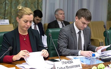 Совещание в СФ, посвященное реализации принятых в рамках Дней субъектов Российской Федерации постановлений палаты