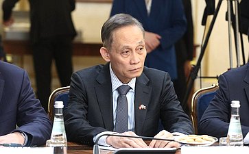Валентина Матвиенко провела встречу с Генеральным секретарем Центрального комитета Коммунистической партии Вьетнама То Ламом