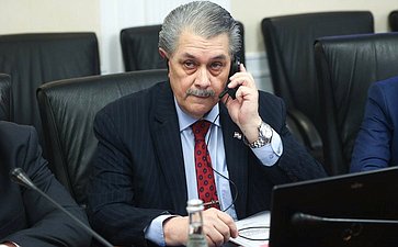 Встреча группы по сотрудничеству Совета Федерации с парламентами стран Латинской Америки и группы дружбы с Россией Палаты сенаторов Национального конгресса Республики Парагвай