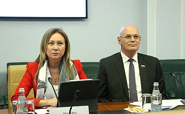Встреча первого заместителя председателя Комитета СФ по международным делам Владимира Джабарова с депутатом Кнессета Государства Израиль, руководителем группы дружбы «Израиль-Россия» Владимиром Белиаком