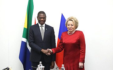 Встреча Председателя Совета Федерации Валентины Матвиенко с Вице-президентом ЮАР