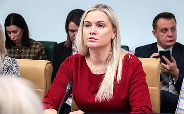 Расширенное заседание Комитета СФ по социальной политике (в рамках дней Тульской области в Совете Федерации)