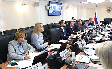 Совещание Комитета СФ по экономической политике «Снижение уровня износа инженерной инфраструктуры. Меры по привлечению инвестиций в сферу теплоснабжения»