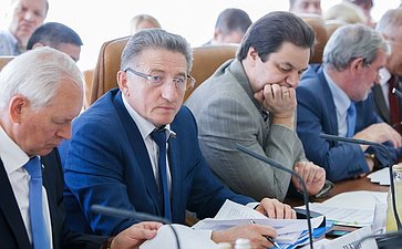 Заседание Комитета по федеративному устройству, региональной политике, местному самоуправлению и делам Севера -10 Тихомиров и Лукин