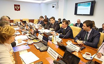 Расширенное заседание Комитета СФ по социальной политике с участием Министра труда и социальной защиты РФ М.А. Топилина