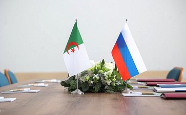 Встреча заместителя Председателя СФ Константина Косачева с заместителем Председателя Национального Народного Собрания Алжирской Народной Демократической Республики. XI Невский международный экологический конгресс