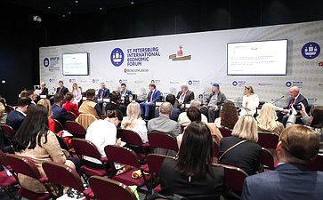 XXVIII Петербургский международный экономический форум (ПМЭФ’25). «Роль государства и медиа в в формировании мировоззрения и ценностей человека»