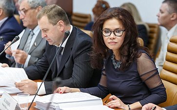 Заседание Комитета Совета Федерации по обороне и безопасности Белоконь