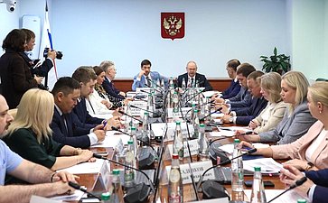 Расширенное заседание Комитета СФ по социальной политике (в рамках Дней Пензенской области в Совете Федерации)