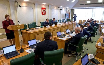 Расширенное заседание Комитета СФ по бюджету и финансовым рынкам с участием представителей органов власти Пермского края