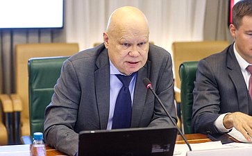 Заседание Комитета Совета Федерации по бюджету и финансовым рынкам