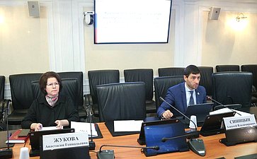 «Круглый стол» Комитета СФ по экономической политике совместно с Комитетом СФ по бюджету и финансовым рынкам
