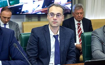 Заседание Комитета Совета Федерации по международным делам