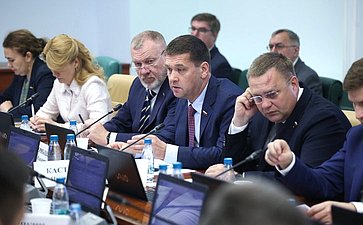 Заседание Комитета Совета Федерации по социальной политике