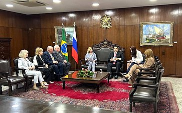 Делегация Совета Федерации приняла участие в работе XI Парламентского форума БРИКС в г. Бразилиа
