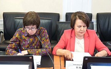 «Круглый стол» на тему «Содействие развитию практики социального контракта в субъектах РФ»