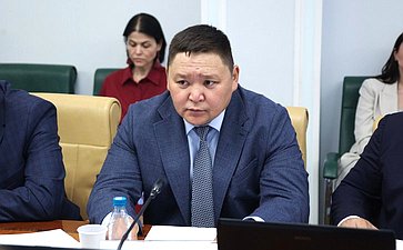 Заседание Комитета Совета Федерации по социальной политике