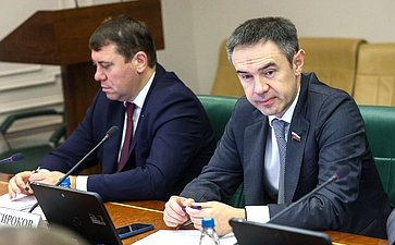 Расширенное заседание Комитета Совета Федерации по экономической политике (в рамках дней Тульской области в Совете Федерации)