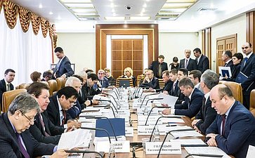 Заседание Комитета Совета Федерации по федеративному устройству, региональной политике, местному самоуправлению и делам Севера