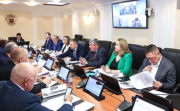 Заседание Комитета СФ по федеративному устройству, региональной политике, МСУ и делам Севера