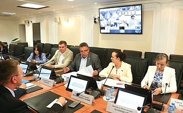 Заседание рабочей группы Комитета СФ по Регламенту и организации парламентской деятельности