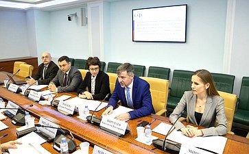 Заседание Президиума Экспертного совета по физкультуре и спорту при Комитете СФ по социальной политике по подведению итогов работы за 2018 год
