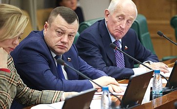Заседание Комитета Совета Федерации по международным делам