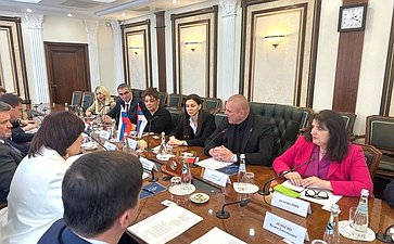 Елена Афанасьева провела встречи с представителями делегации Республики Сербии