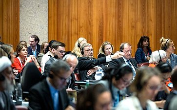 Сенаторы РФ приняли участие в заседании Постоянного комитета по вопросам демократии и прав человека Межпарламентского союза