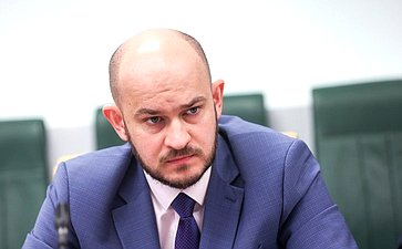 Круглый стол Комитета Совета Федерации по конституционному законодательству и государственному строительству на тему «Правовая помощь в Российской Федерации: развитие цифровых сервисов»