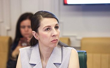 Круглый стол на тему «Актуальные вопросы обеспечения последовательной и обоснованной гуманизации уголовного законодательства Российской Федерации»