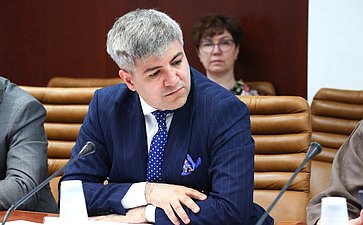 Совещание Комитета СФ по экономической политике «О разграничении полномочий по осуществлению морских перевозок»