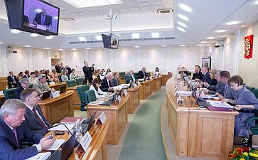 Заседание комитета СФ по конституционному законодательству-7