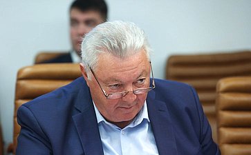 Заседание Экспертного совета по физической культуре и спорту при Комитете Совета Федерации по социальной политике