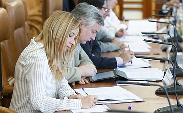 Заседание рабочей группы при Временной комиссии СФ по вопросам развития законодательства РФ об инженерной и инжиниринговой деятельности