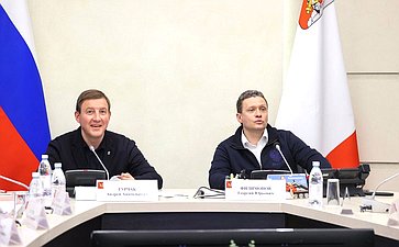 Первый заместитель Председателя Совета Федерации Андрей Турчак принял участие в мероприятии по подключению новых потребителей (домовладений) в рамках реализации социальной газификации в Вологодской области