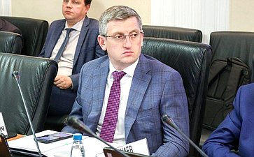 Заседание Комитета Совета Федерации по федеративному устройству, региональной политике, местному самоуправлению и делам Севера